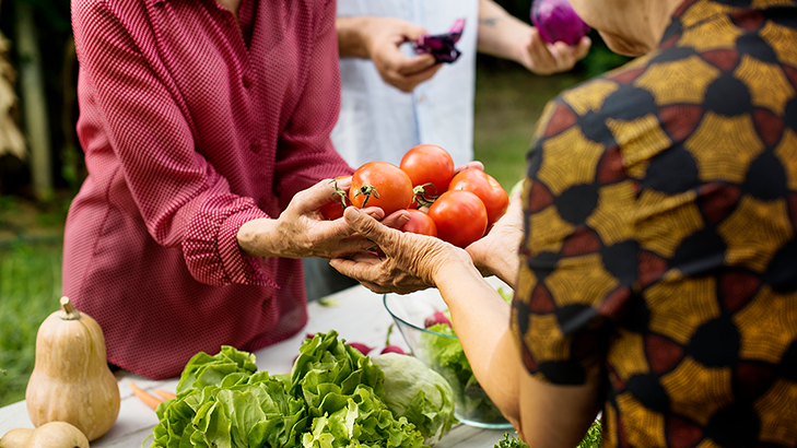 people-giving-fresh-tomato-another