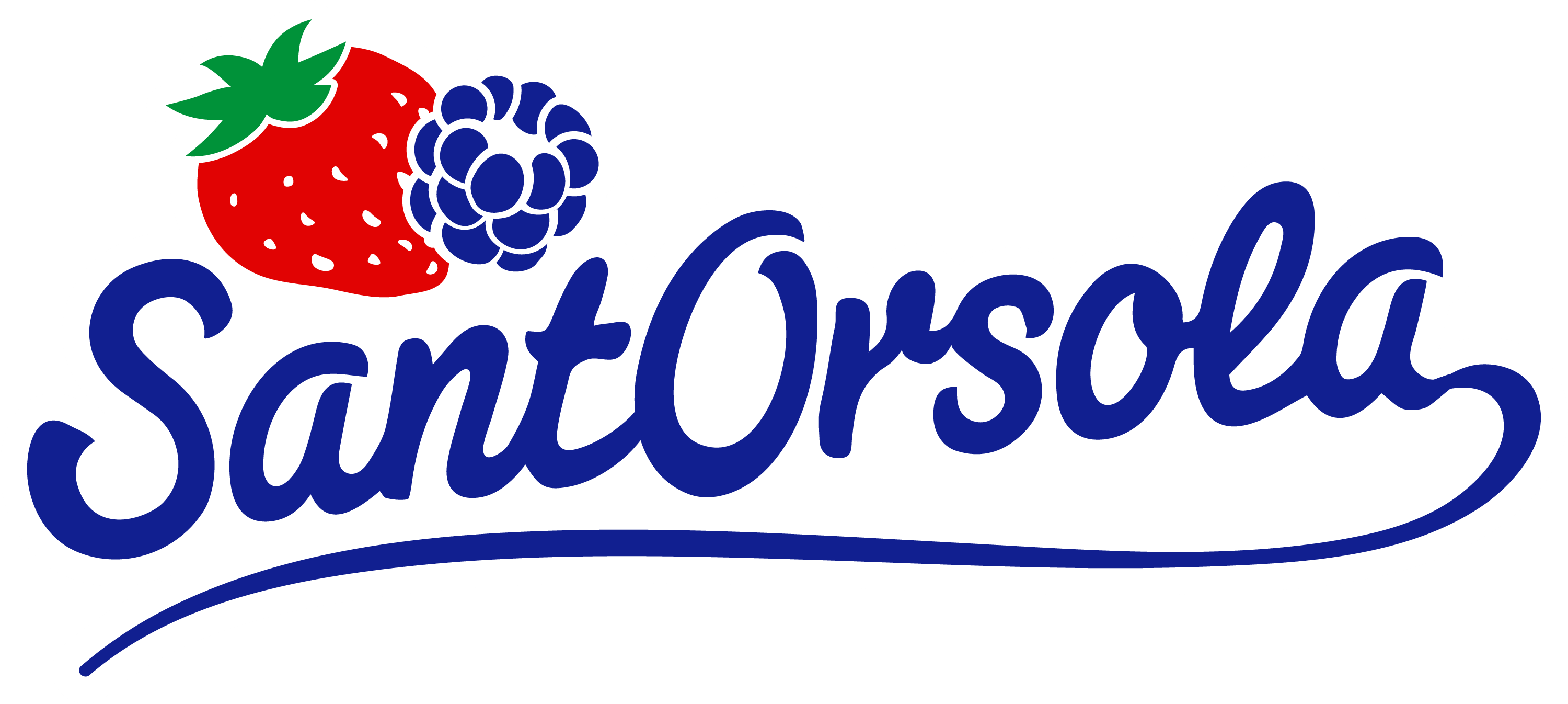 Logo Sant Orsola completo
